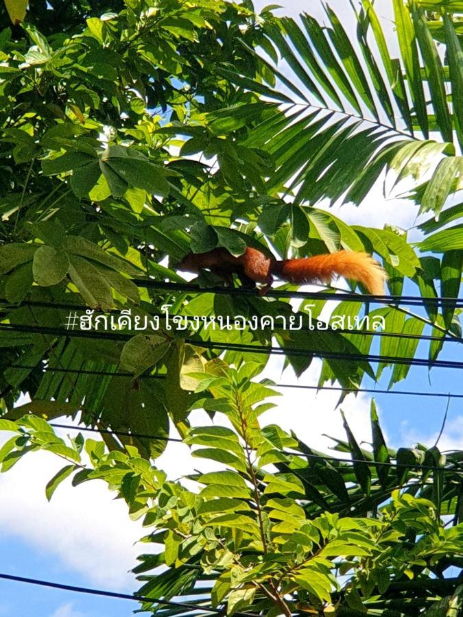ฮักเคียงโขง Hug Khieng Khong Nongkhai Hostel Nong Khai Extérieur photo