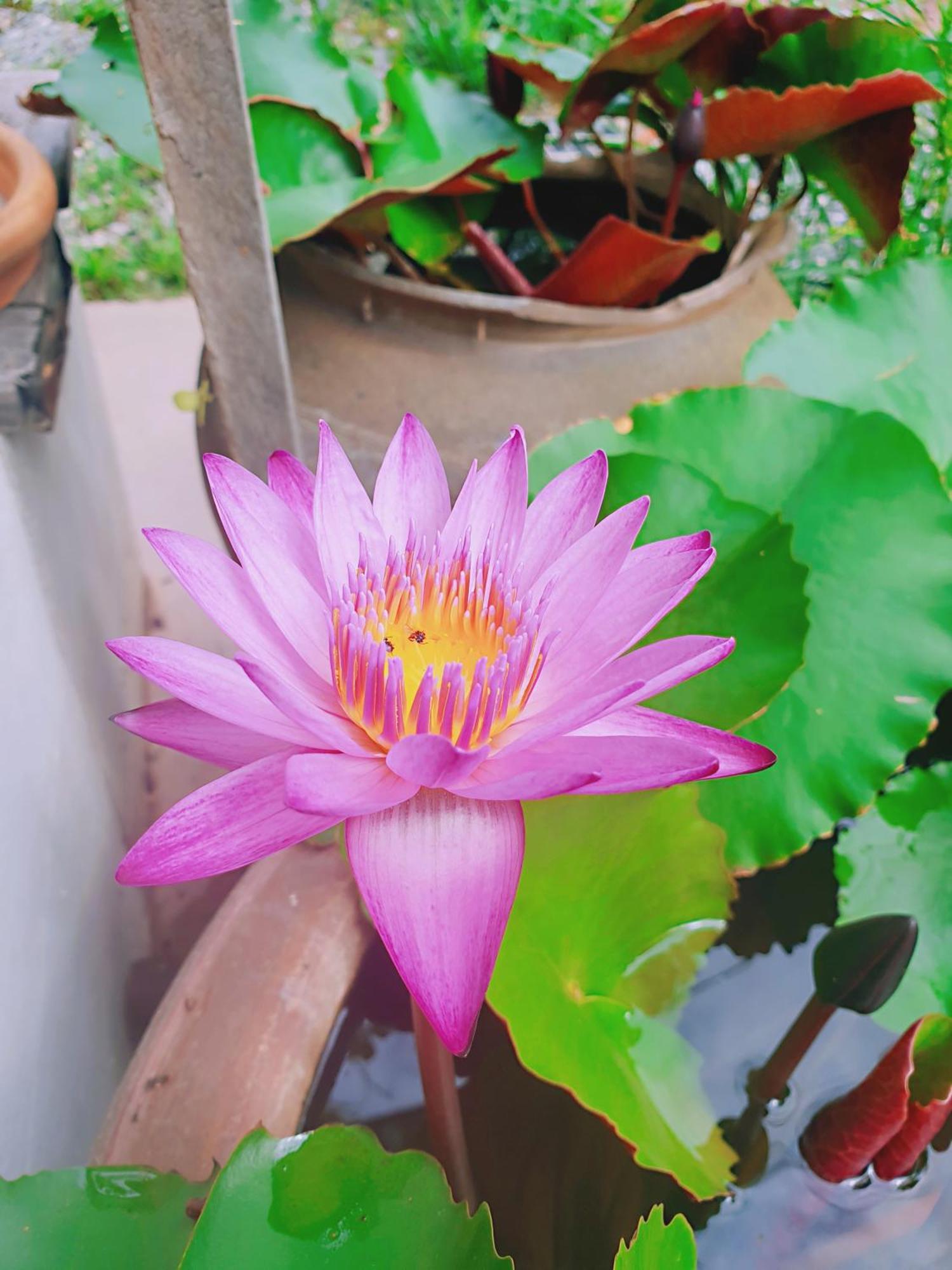 ฮักเคียงโขง Hug Khieng Khong Nongkhai Hostel Nong Khai Chambre photo